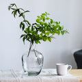 Nordic Big Belly Glass Vase Minimalist Transparent Glass Vase Home Decoration Floor Hydroponic Plant Glass Ornaments