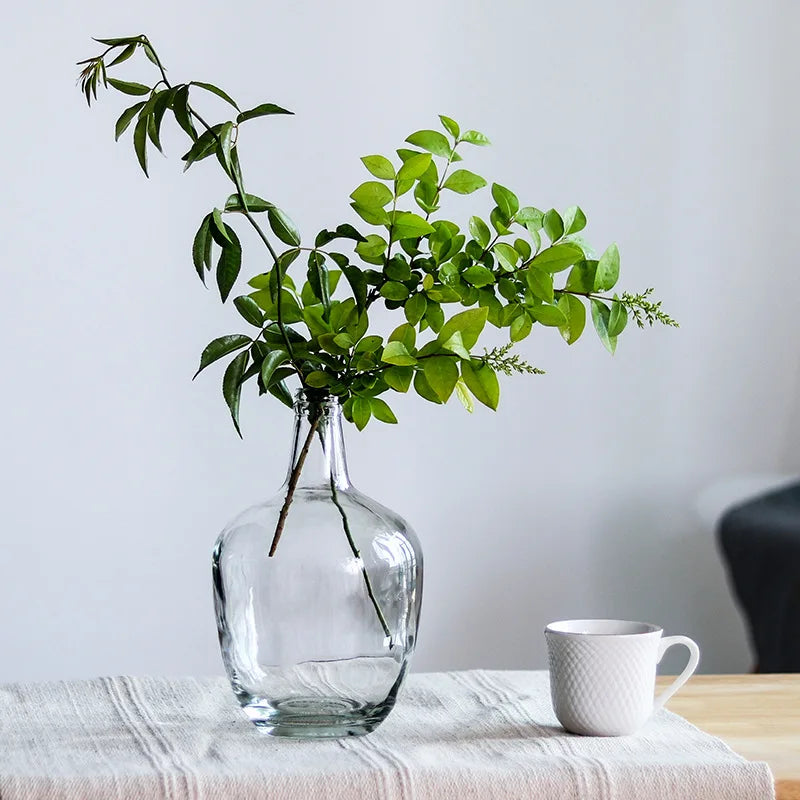 Nordic Big Belly Glass Vase Minimalist Transparent Glass Vase Home Decoration Floor Hydroponic Plant Glass Ornaments