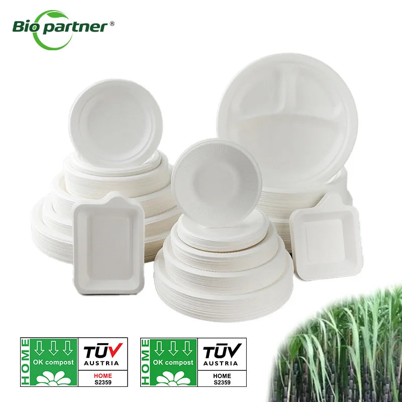 Custom Printing Disposable Paper Plates 3 Compartment Sugarcane Fiber Bagasse Salad Snack Cookie