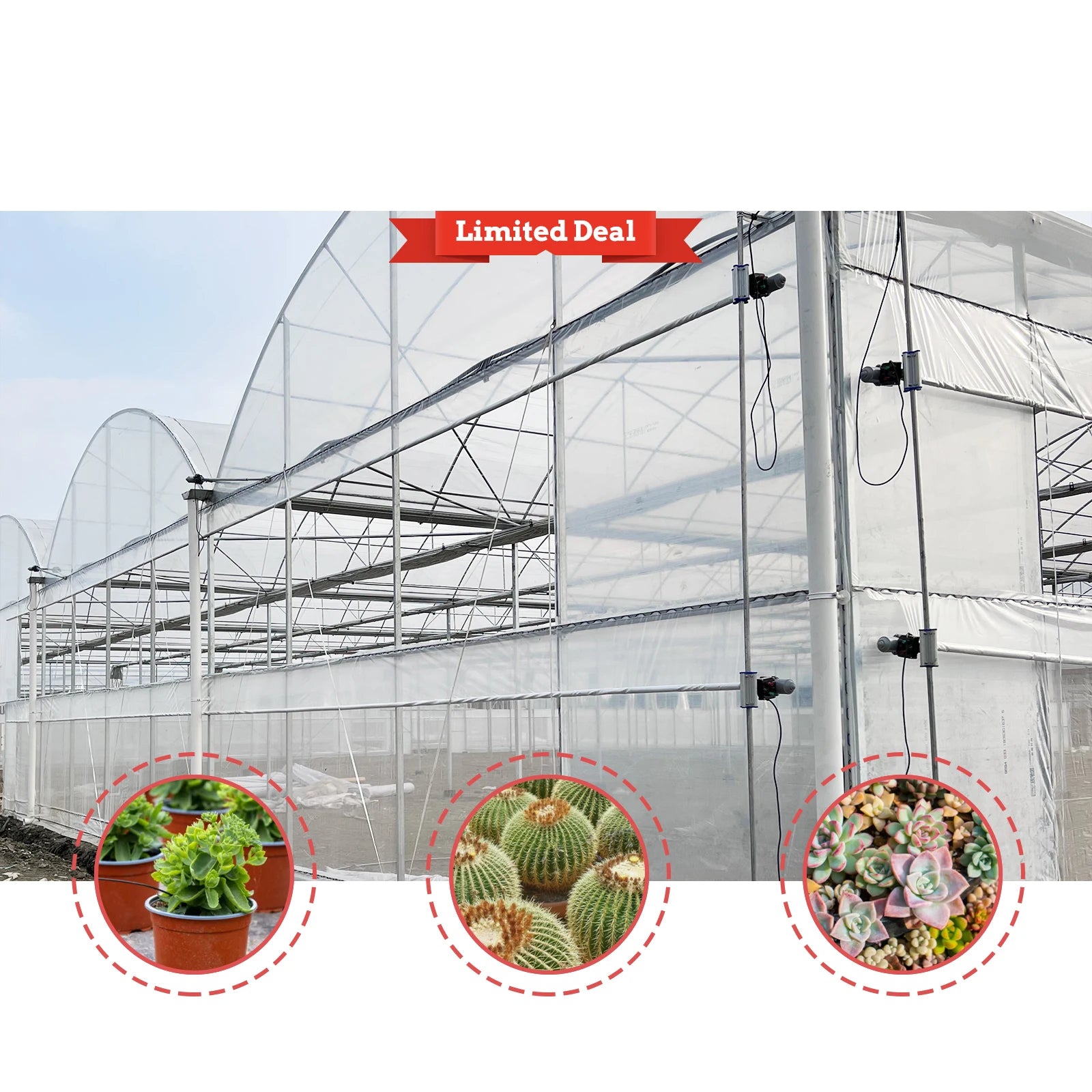 Baolida Large Single Layer Multi-Span Transparent PE Film Tropical Greenhouse Siding Ventilation Agriculture Shading System