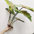New Design Artificial Monstera Plant Bushsingle Stem Greenery 50cm Home Wedding Valentine's Day Decoration
