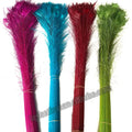 Dyed Bulk Natural Peacock Feather for Party Carnival Home Wedding Centerpiece Christmas Holiday Decor DIY Craft Floral Costume
