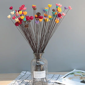 E07139 Top Seller Diy Dried Flowers Dried Flowers and Plants Preserved Pistachio for Decor Wedding Flower Arrangement