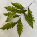 Sea Anemone Leaves for Wedding Decoration Artificial Plants