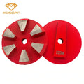 Speed Shift 6 Segment Diamond Grinding Plate for Terrco Machine