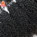 12A Wholesale Original Virgin Brazilian Pixie Curl Hair BundleBrazilian Human Hair for Young Girl Raw Brazilian Hair Bundle