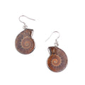 Handmade Natural Conch Ammonite Silver Wrapped Pendant Shell Earrings for Women Trendy Charm Style