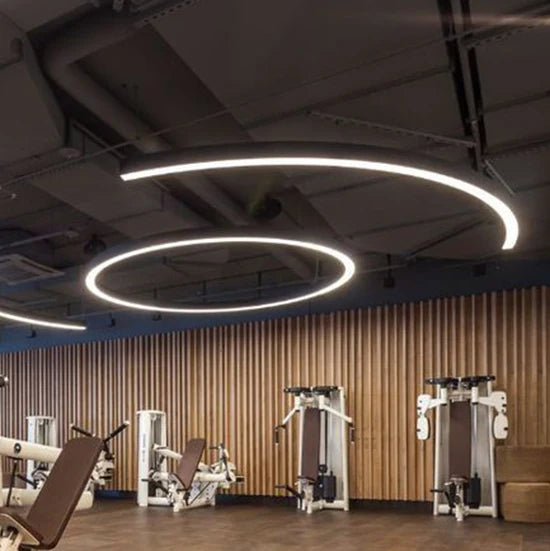 Wholesale Extrusion Aluminum LED Pendant Light Custom Arc Linear Led for Fitness Gym Mall