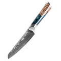 FINDKING 1pc Paring Knife 5 Inch Sharp Fruit Utility Knife 10Cr15Mov Steel 67 Layer Damascus Steel Knife for Carving and Peeling MegaBDM