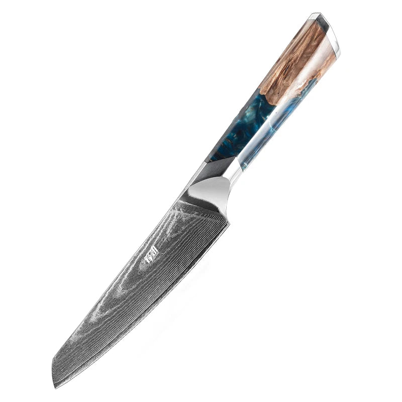 FINDKING 1pc Paring Knife 5 Inch Sharp Fruit Utility Knife 10Cr15Mov Steel 67 Layer Damascus Steel Knife for Carving and Peeling MegaBDM