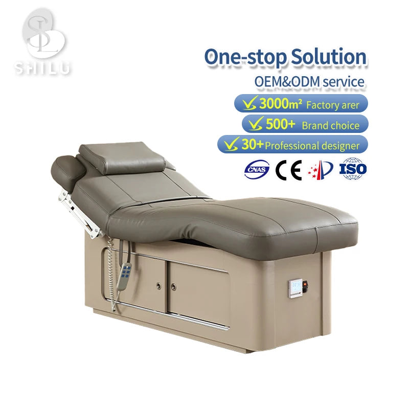 Luxury Beige DMC4 Electric Massage Cosmetic Table Chair Hot Sale 2 Motors Beauty Salon Spa Bed for Hotel Bedroom Outdoor Use