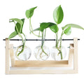 Creative Hydroponic Plant Wooden Frame Flower Vases Desktop Home Decoration Glass Vase