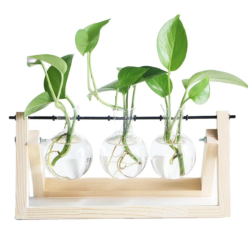 Creative Hydroponic Plant Wooden Frame Flower Vases Desktop Home Decoration Glass Vase