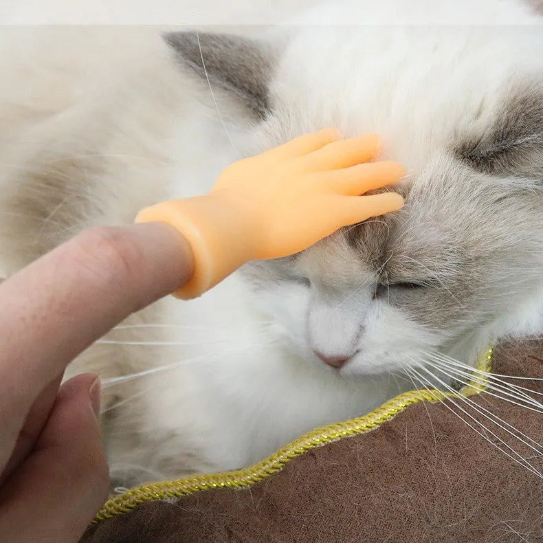 Wholesale Cat Toy Hands Fingers