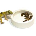 Reptile Medium Ceramic Food Dish Lizard Water Food Bowl for Reptiles