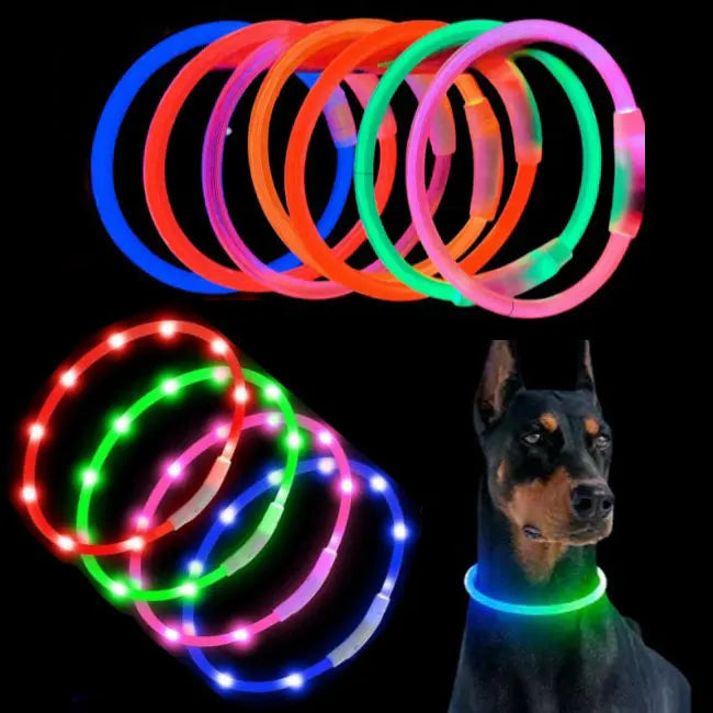USB Charging LED Dog Collar with Adjustable Fiber Optic Lamp Bead Durable Solid Pattern Classic Simple Style Pet Glow Collar
