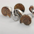 Charm Handmade Natural Conch Ammonite Silver Wrapped Pendant Shell Rings for Women Men Jewelry Making
