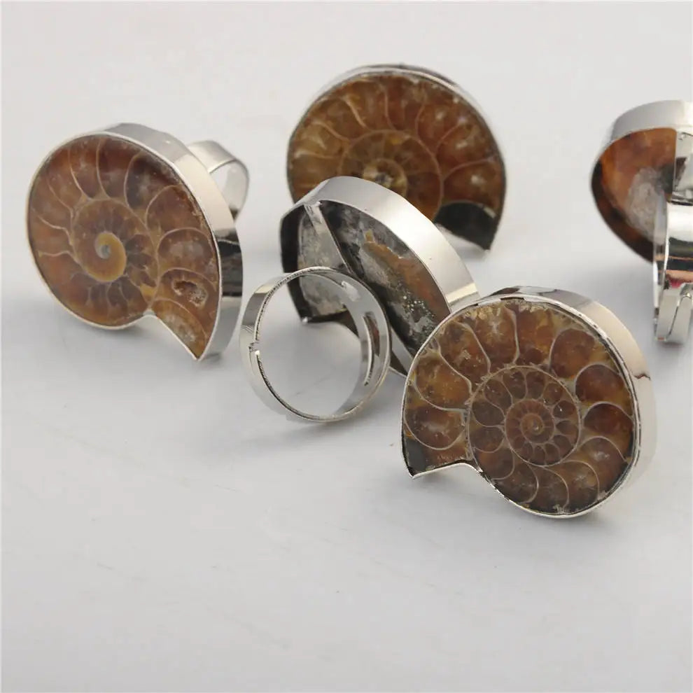 Charm Handmade Natural Conch Ammonite Silver Wrapped Pendant Shell Rings for Women Men Jewelry Making