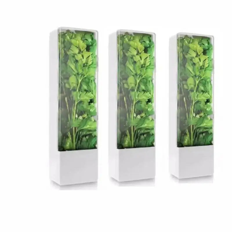 Top Seller Herb Savor Hot Selling Storage Container Freshness Keeper Transparent Refrigerator Saver for Kitchen