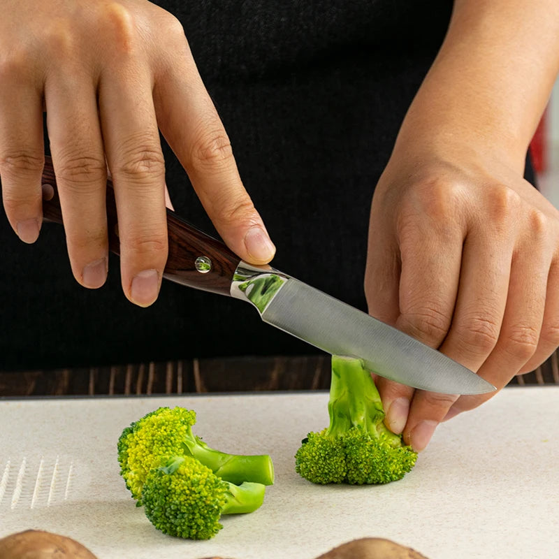 3.5 Inch 3Cr13 Stainless Steel Kitchen Paring Knife with Ergonomic Pakka Wood Handle Eco-Friendly Gift Box