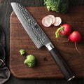 Professional Damascus Steel Kitchen Japanese Santoku Knife