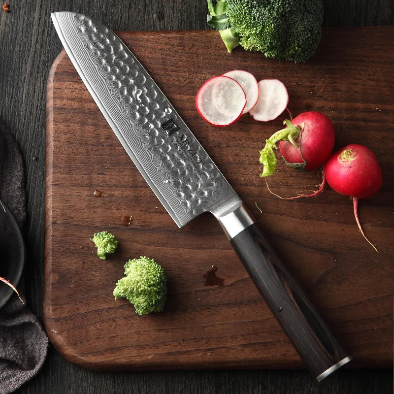 Professional Damascus Steel Kitchen Japanese Santoku Knife