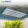 Shenzhen Kingbrite X55 320w LM301H / LM281B+ Pro Mix Red 660nm Uv Ir Full Spectrum Led Grow Light by king Brite Lighting