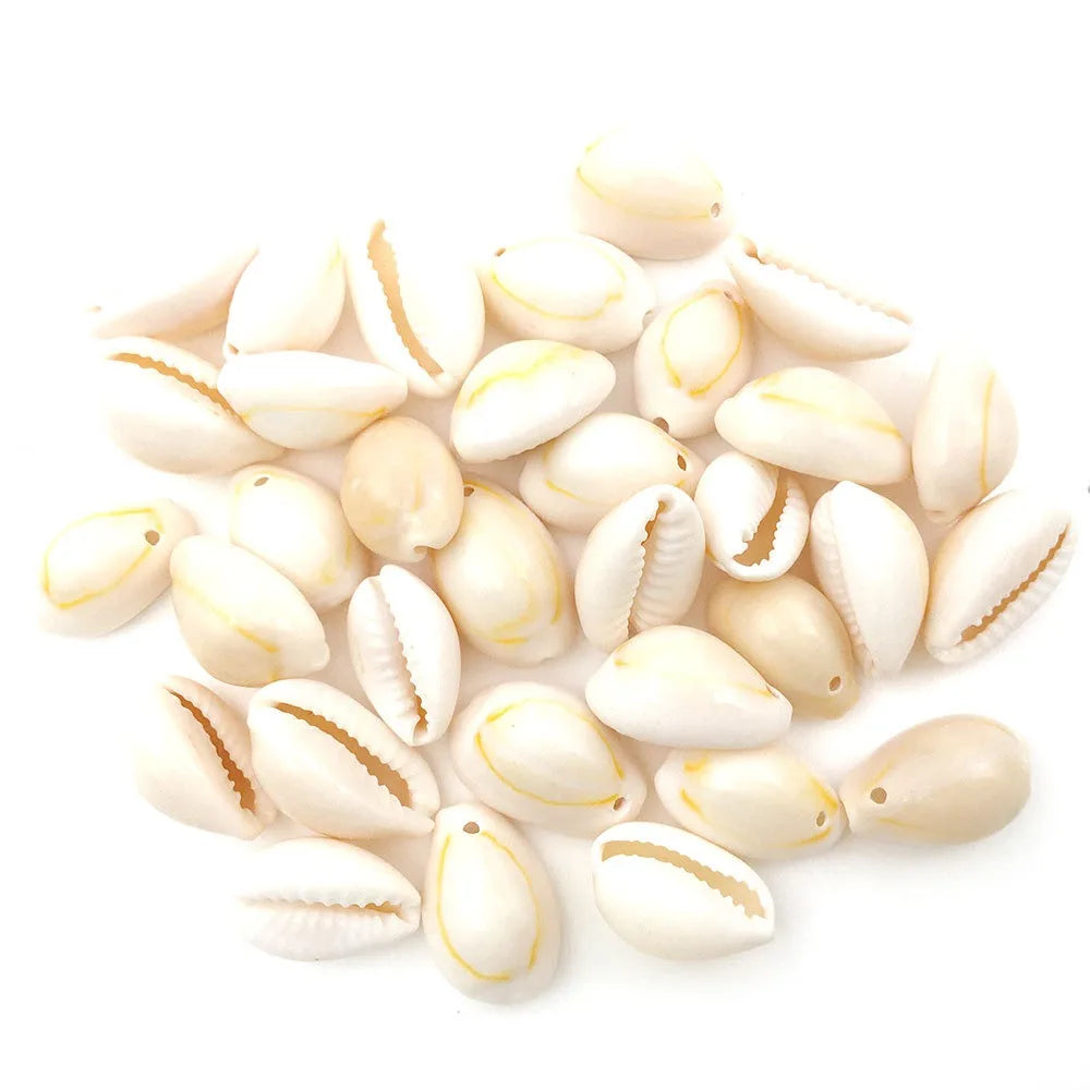 Single Hole Natural Shell Conch 12mm-16mm Plating Dig Hole Shell Jewelry Accessories and Others Making Decoration