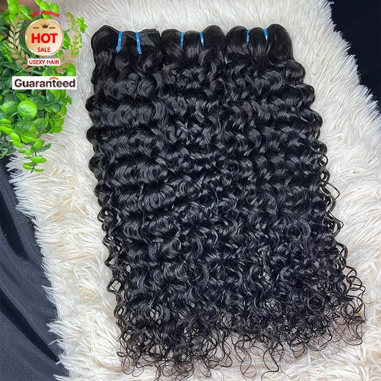 12A Grade Raw Indian Temple Hair Water Wave Human Hair Bundle Vendor Virgin Burmese Curly Cuticle Aligned Hair Weft Extension