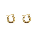 Popular Trending Women Small Hoop Earrings Wholesale Designer 18K Gold Plated Jewelry Stainless Steel Earring for Girl
