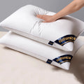 Luxury 100% Cotton Fabric Cheap Microfiber Pillow for Hotel and Hospital