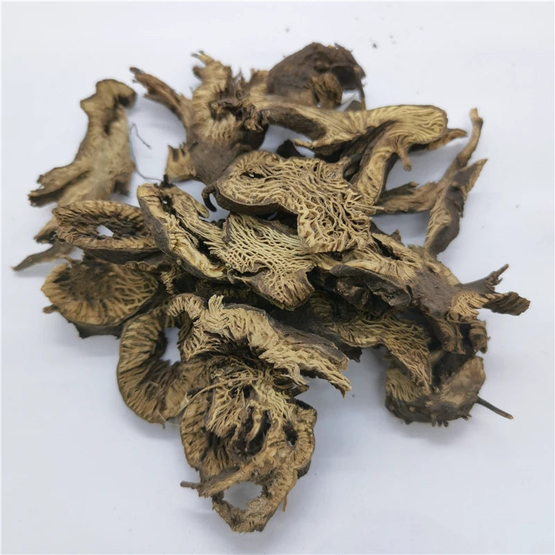 Sheng Ma High Quality Crude Herb Rhizoma Cimicifugae