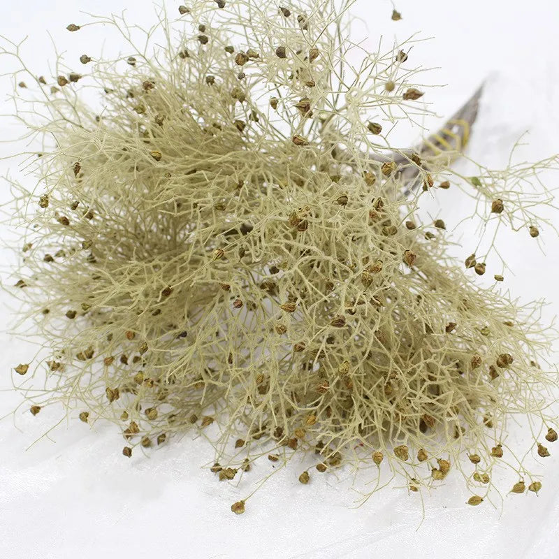 2020 Valentine's Day Gift Handmade Liviflo Dried Grass and Real Preserved Flower Dream Grass