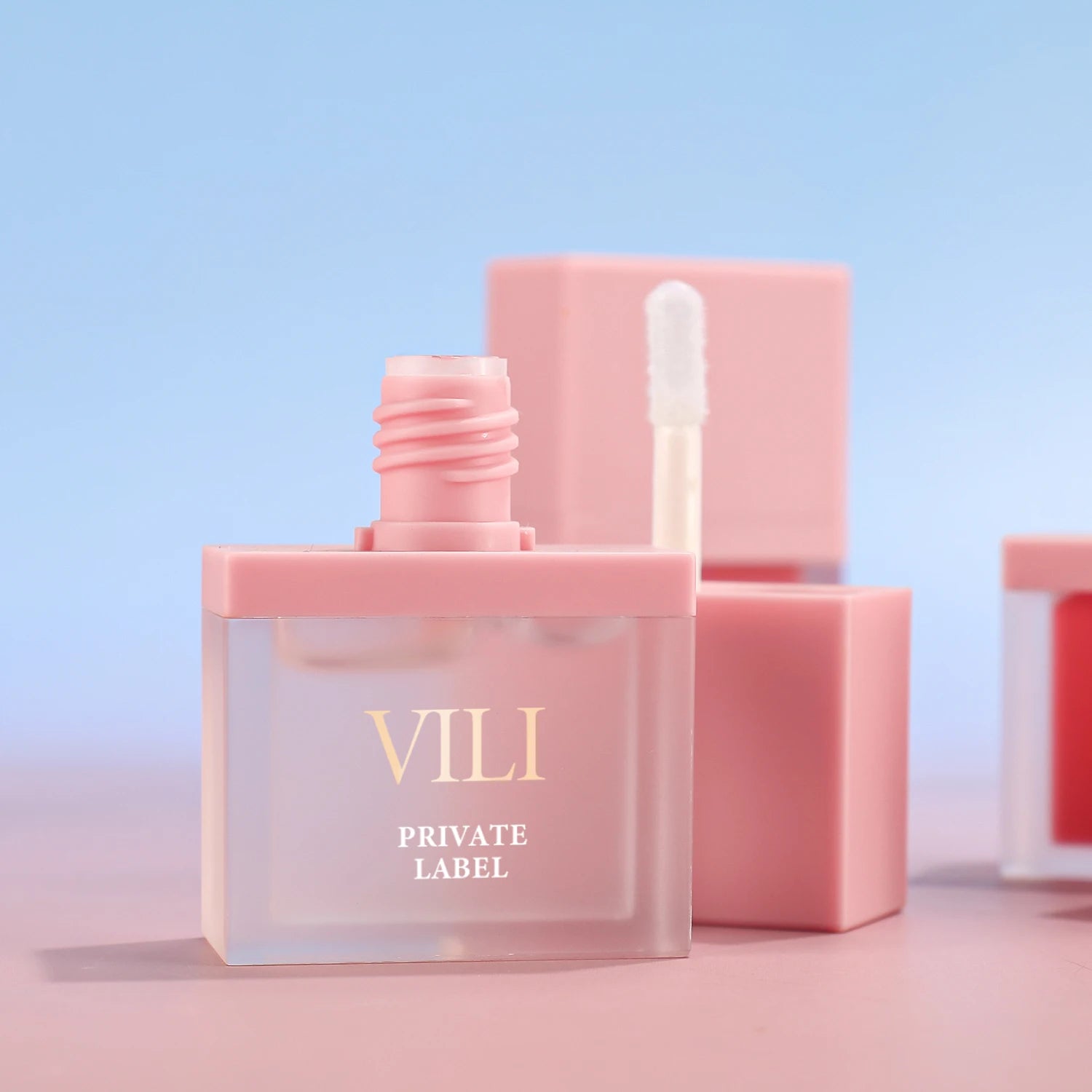 Wholesale Cosmetics Low MOQ No Logo Private Label Full Coverage Organic Moisture Matte & Glossy Colors Lip Gloss