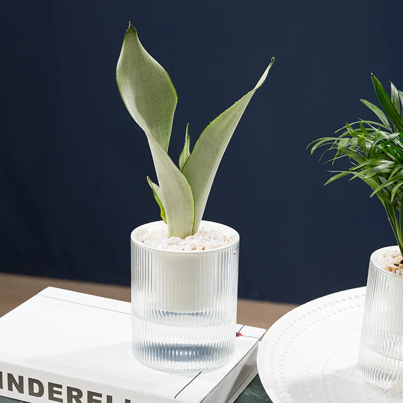 RUIPU New Thickened PP Material Indoor White Spiral Pot De Fleur Exterieur Design Self-absorbing Flowerpot