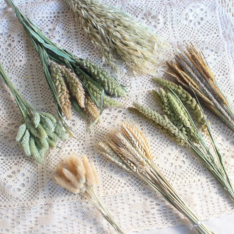 Gem Grass Air-Dried Eucalyptus Original Color Rabbit Tail Grass DIY Dog Tail Flower Arrangement for Christmas Wedding Home