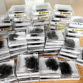 Abonnie Pointy Base Pro Made Fan Eyelash Trays Long Short Stem 500 1000 Loose Lash Fans Mink Narrow Promade Lash Extension Fans