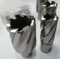 HSS-Co Rotabroach Magnetic Drill Broach Core Magnetic Drill Bit for Metal