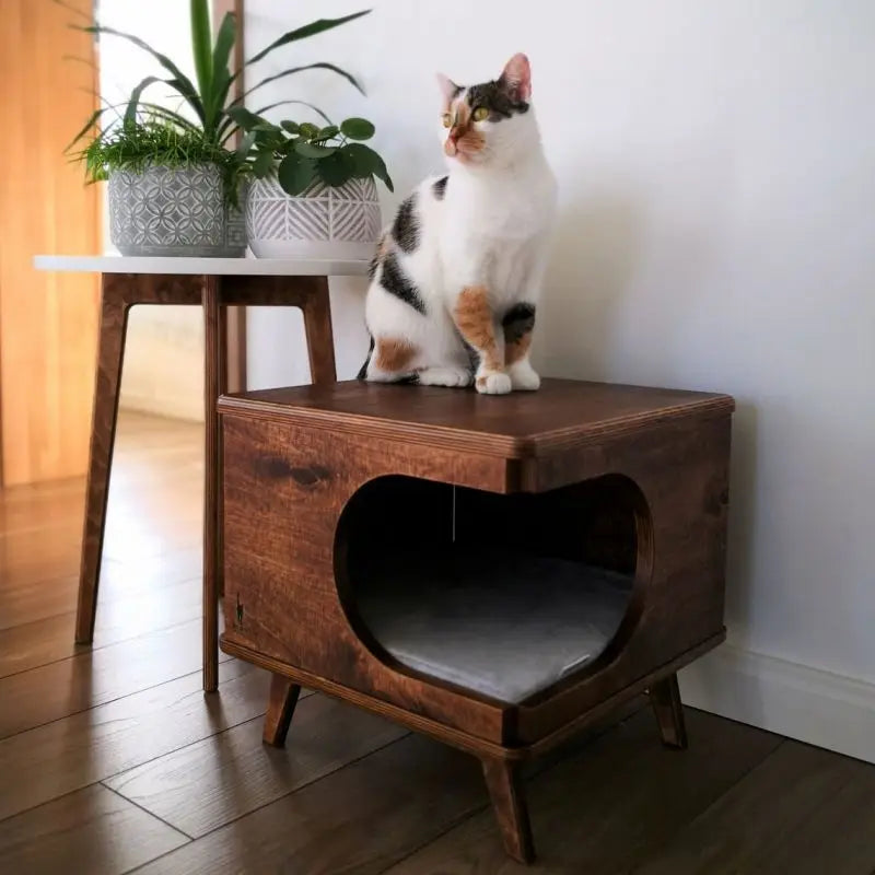 New Design Mounted Wood Cat Shelf Wall Shelves Vertical Tree Cat Scratcher Wooden Modern Cat Wall Furniture