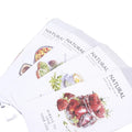 5pcs/pack Kawaii Envelopes Fruit Paper Envelopes Gift Letter Party Invitation Holder  Custom Your logo Size Custom Your Design