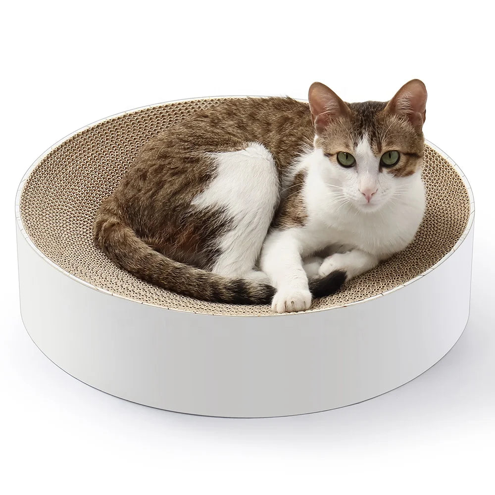 Top Selling Round Curl Cat Scratcher Cat Scratcher Furniture Recycled Cool Cardboard Bed