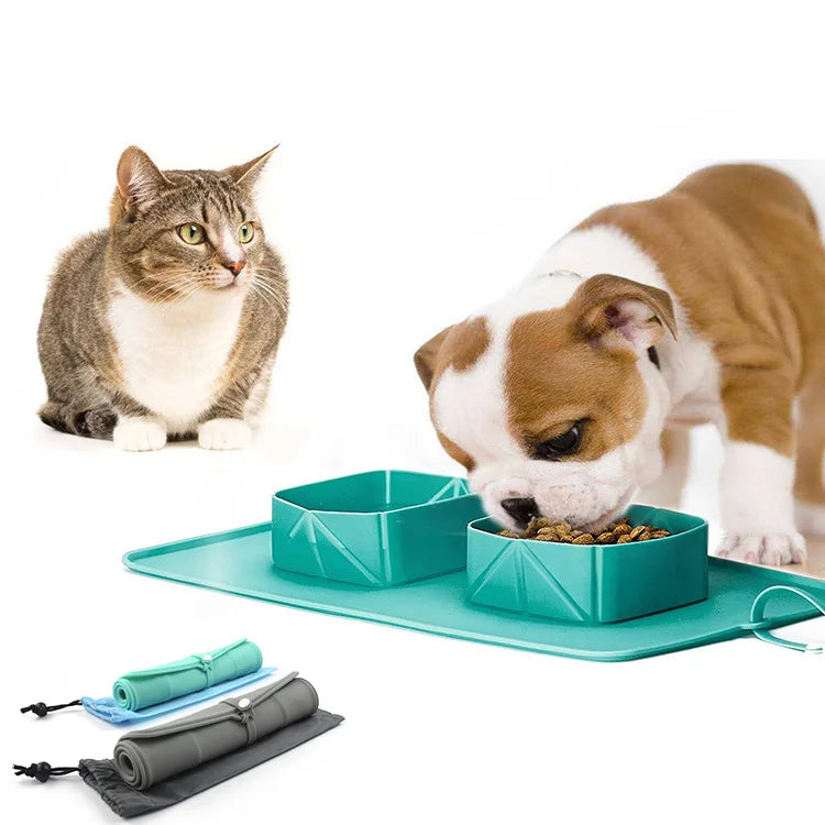 Wholesale 2022 Hot Sale Soft Silicone Material Foldable Outdoor Travel Non-slip Pet Dog Double Bowl