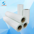 DTF Print Film Heat Transfer Printing PET Film Roll A3 A4 A2 30/60cm Cold Peel and Hot Peel Inkjet Printer PET Transfer DTF Film