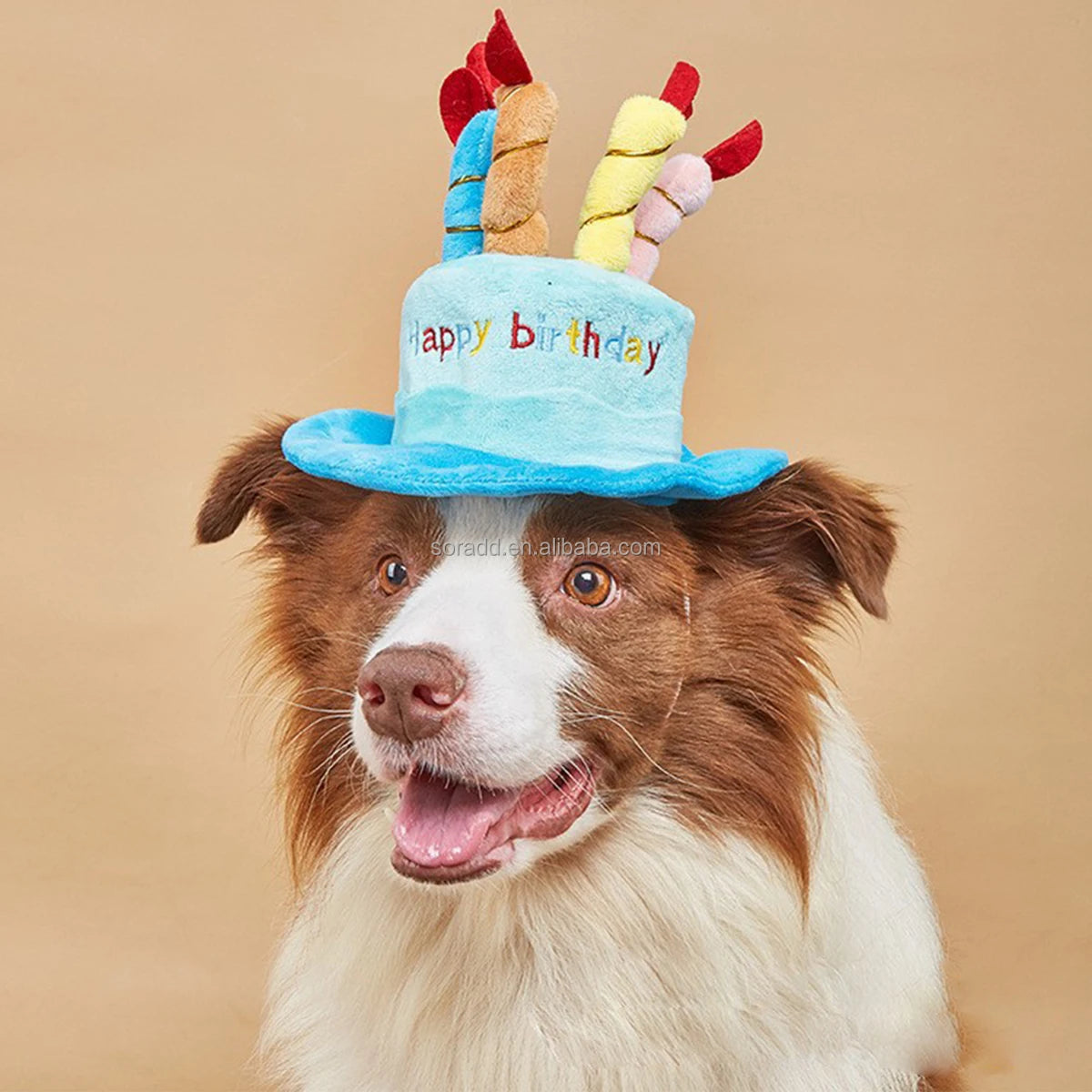 Cute Adorable Dog Cat Birthday Cake Hat Pet Cap Headwear Hat with 5 Color Candles Design Party Custom Accessory