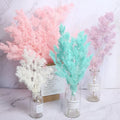 Guest Gift Wedding Fresh Preserved Flower Preserved Eternal Flower Penglai Pine