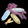 Shiny Trinket Tray Mold Long Feather Dish Silicone Mold for Resin Art