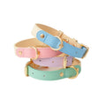 Luxury Real Leather Dog Collar with Leashes Set Eco-Friendly Soft & Breathable Padded for Modern Pets Personalized Style
