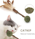 Chinese-Made Natural Silvervine Sticks Feather Chew Sticker Lifelike Plush Interactive Movement Toys for Cats Cheap Price