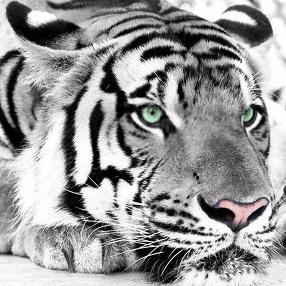 DIY 5D Diamond Painting Black White Fantasy Animal Diamond Mosaic Home Decor Embroidery Pattern Handmade Handmade Gift