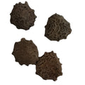 Mu Bie Zi Raw Natural Dried Gac Fruit Momordica Cochinchinensis Semen for Sale